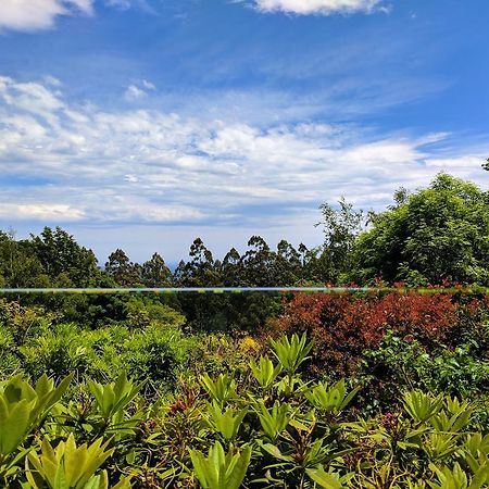 Annie Roes Luxury B&B Bend of Islands 외부 사진