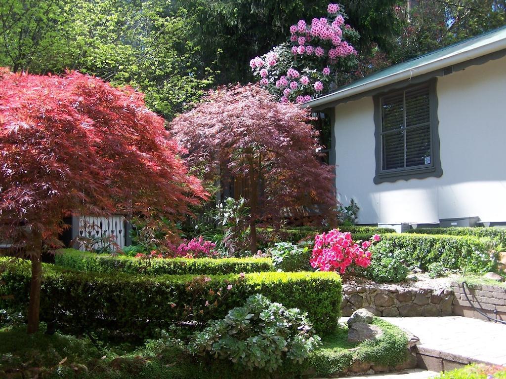 Annie Roes Luxury B&B Bend of Islands 외부 사진