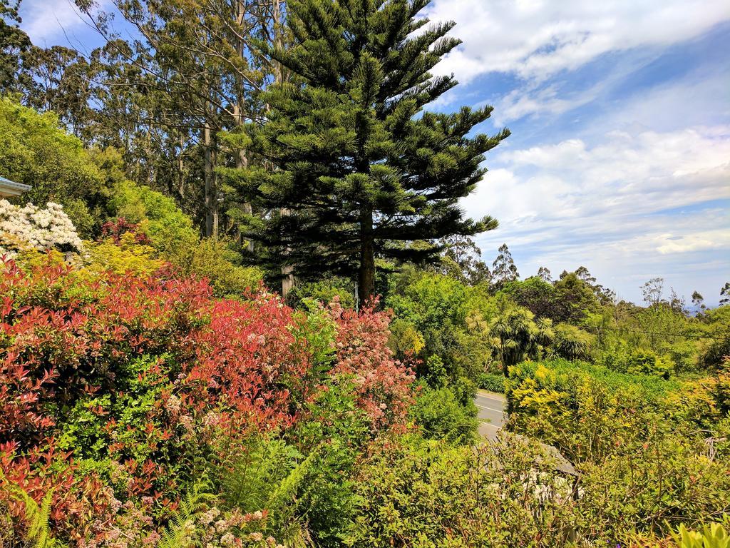 Annie Roes Luxury B&B Bend of Islands 외부 사진
